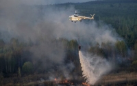 В Чернобыльской зоне горит трава