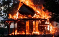 В Житомирской области поймали «огненного» маньяка