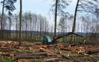 Евросоюз поддерживает Украину в ее желании защитить свои леса