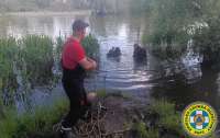 У водоймі на Оболоні втопився підліток