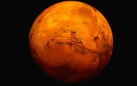 Уфологи обнаружили на Марсе голову животного