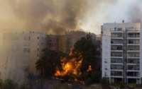 В Израиле бушуют страшные пожары, десятки травмированных