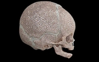 Эксцентричный художник Херст украсил детский череп 8 тысячами бриллиантов