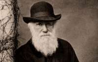 Ученые опровергли гипотезу Дарвина