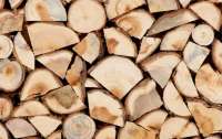 Дали совет, какие дрова подойдут для отапливания помещений