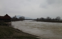 Синоптики предупреждают о подъеме уровня воды в реках Закарпатской области