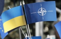 Украина надеется добиться от НАТО план для вступления