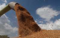Росіяни вивозять українське зерно з Мелітополя до окупованого Криму