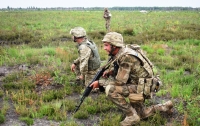 Украинские военные будут участвовать в 19 многонациональных учениях