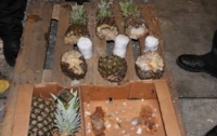 Правоохранители нашли ананасы, начиненные кокаином (ФОТО)