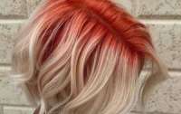 За покраску волос девушку оштрафовали на тысячу долларов