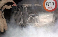 На Киевщине Chevrolet Aveo насмерть сбил кабана и ... сгорел