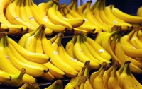 В супермаркеты Германии вместо бананов завезли кокаин