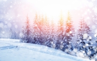 Зима близко: на Прикарпатье выпал снег (видео)