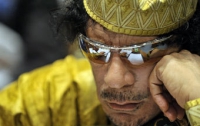Муаммар Каддафи готов отказаться от власти