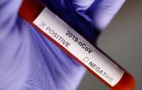В Нидерландах за сутки врачи выявили более 500 случаев заражения коронавирусом