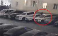 Полицейские нашли, куда деваются элитные авто после похищений (видео)