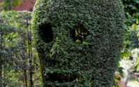 Британский медик 20 лет выращивал в своем саду жуткий череп (ФОТО)