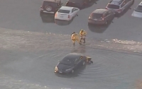 Американцы по глупости массово затопили свои машины