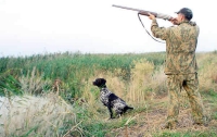 В Украине из-за жары отложили сезон охоты