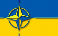 Украина-НАТО. Порошенко через 27 дней примет решение о референдуме