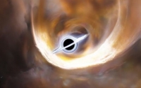 Астрономы обнаружили уникальную черную дыру, скрывающуюся в недрах нашей галактики