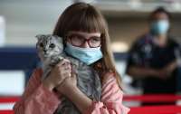 Кошки способны заражать людей коронавирусом