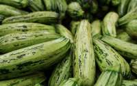 В Украину завезли тонны кабачков с нитратами