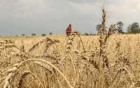 Україна та Велика Британія домовилися зробити зерновий коридор доступнішим для експортерів
