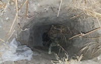 В США задержали нелегалов, которые передвигались по подземному тоннелю из Мексики