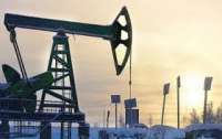 Украинская компания потеряла газовое месторождение из-за 8 гривен долга