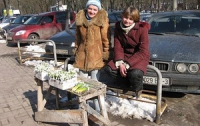 В Крыму организовали настоящую охоту за «цветочными браконьерами»