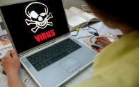 Российских оппозиционеров атакуют компьютерные вирусы