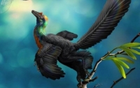 В Китае найден динозавр с радужным оперением