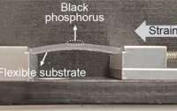 Свойства черного фосфора собираются применить в электронных компонентах