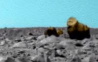 На Марсе уфологи-любители нашли гориллу и верблюда
