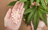 Министр здравоохранения выступила за лекгализации медицинской марихуаны