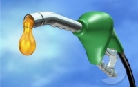 Сеть АЗС в Тернопольской области торговала нелегальным топливом