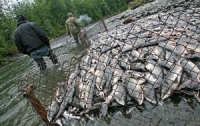 Землю, используемую для рыболовства, можно будет купить за 3% от её стоимости