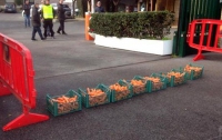 Фанаты Ромы пришли на тренировку команды с ящиками морков