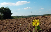 Украинские земли оценят до 2012 года