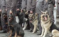 В Донецке собаки из охраны Виктора Януковича обнюхивали журналистов 