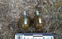 В Николаеве у посетителя магазина нашли три гранаты