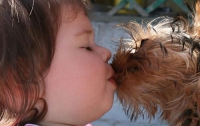 Поцелуи с собаками могут привести к потере зубов