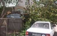 В Мелитополе вторые сутки шквальный ветер валит деревья и курочит автомобили