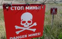 Лесная охрана взорвалась на мине в Житомирской области