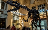Скелет динозавра ушел с молотка за €1 миллион