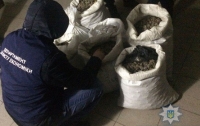 В Ровно полиция изъяла 140 кг янтаря на миллион гривен