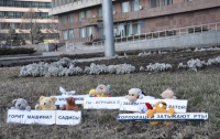 Сегодня в Запорожье на митинг вышли плюшевые игрушки