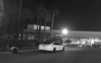 Российский робот погиб под колесами американской Tesla (видео)